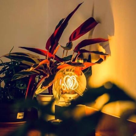 Casa Oscar: Entire Apartment Venice.Mestre Station エクステリア 写真